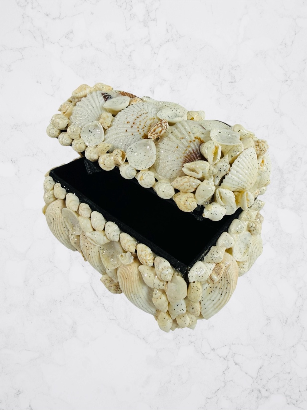 Vintage Natural Seashell Trinket Jewelry Box Lined Black Ocean Nautical Beach